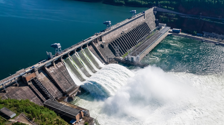 States using dam water should also compensate for the damage caused by floods - Socialist Party of India.